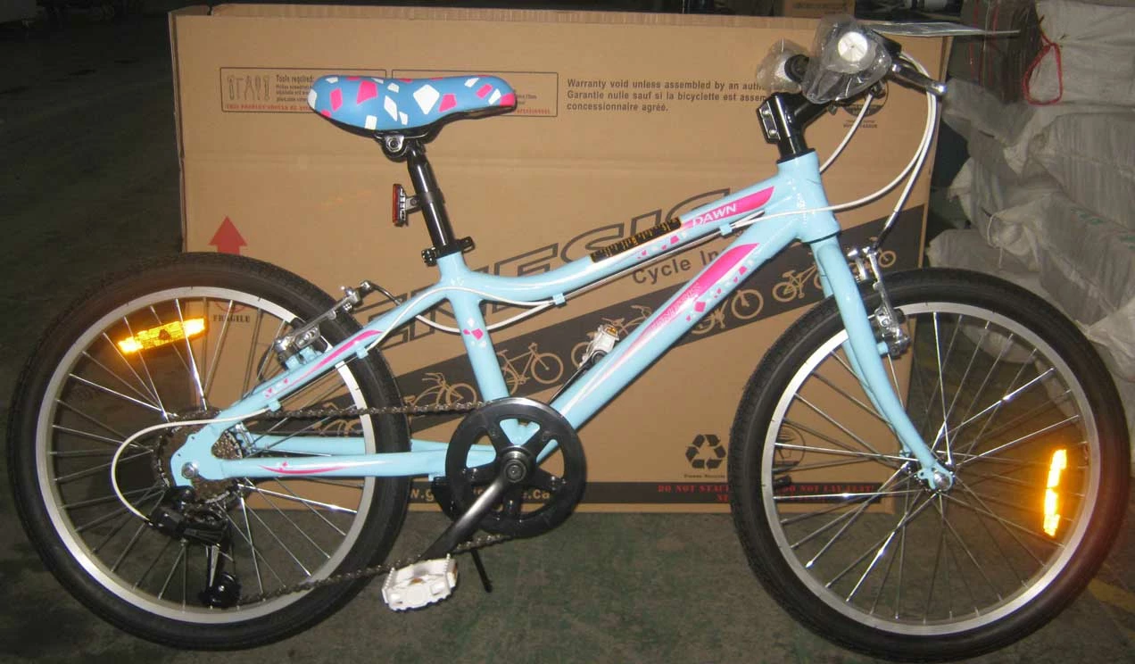 Fournel Bicycles Genesis Dawn 20" 3 Fournel Bicycles Genesis Dawn 20"