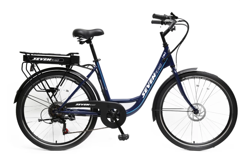 Fournel Bicycles Sevenpeaks E-one 5 4 Fournel Bicycles Sevenpeaks E-one 5 – Image 2