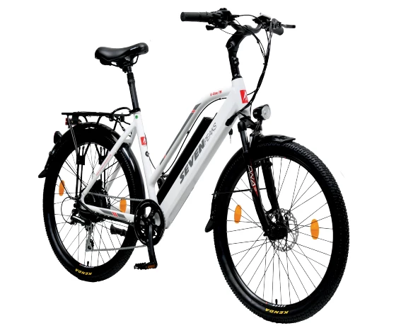 Fournel Bicycles Sevenpeaks E-one 7h Cross 4 Fournel Bicycles Sevenpeaks E-one 7h Cross – Image 2