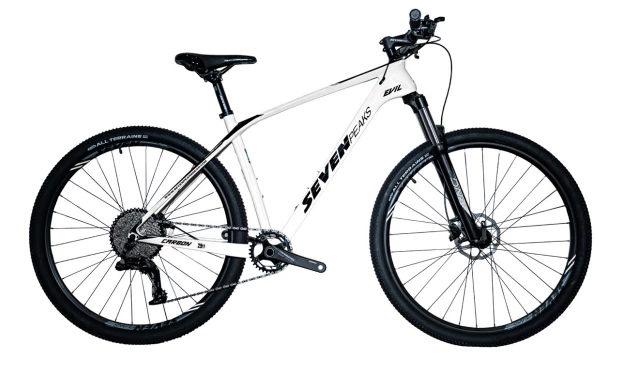 Fournel Bicycles Sevenpeaks Evil 3 Fournel Bicycles Sevenpeaks Evil