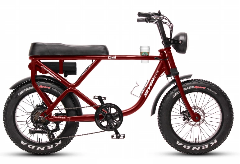 Fournel Bicycles Sevenpeaks Kawai 3 Fournel Bicycles Sevenpeaks Kawai