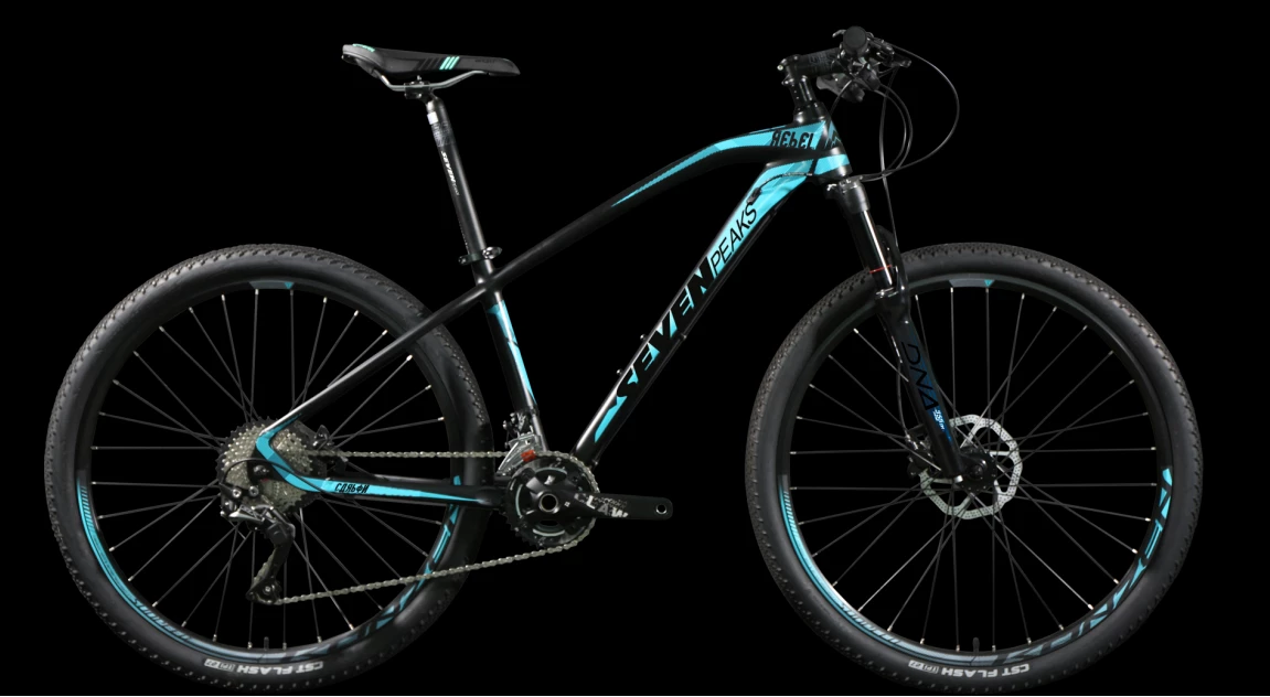 Fournel Bicycles Sevenpeaks Rebel 4 Fournel Bicycles Sevenpeaks Rebel – Image 2