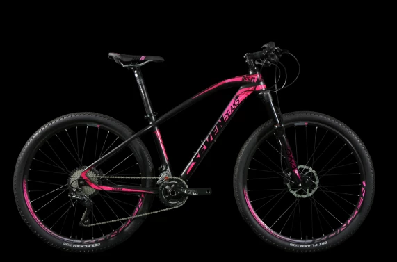 Fournel Bicycles Sevenpeaks Rebel 5 Fournel Bicycles Sevenpeaks Rebel – Image 3