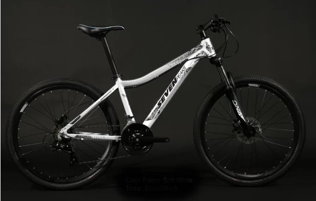 Fournel Bicycles Sevenpeaks Stella 5 Fournel Bicycles Sevenpeaks Stella – Image 3