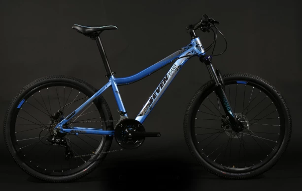 Fournel Bicycles Sevenpeaks Stella 4 Fournel Bicycles Sevenpeaks Stella – Image 2