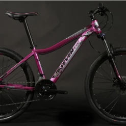 Fournel Bicycles Sevenpeaks Stella