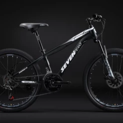 Fournel Bicycles Sevenpeaks Bull