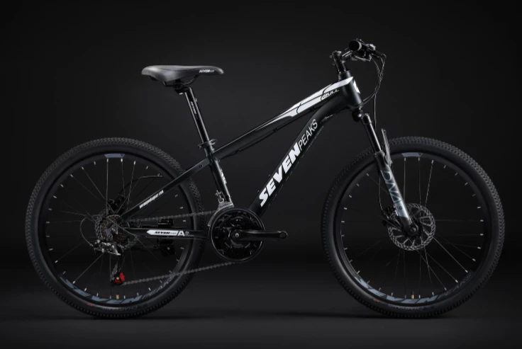 Fournel Bicycles Sevenpeaks Bull 3 Fournel Bicycles Sevenpeaks Bull