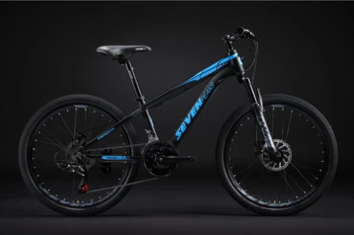 Fournel Bicycles Sevenpeaks Bull 4 Fournel Bicycles Sevenpeaks Bull – Image 2