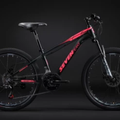 Fournel Bicycles Sevenpeaks Bull 9 Fournel Bicycles Sevenpeaks Bull -Transmission Boutique bullrose2021