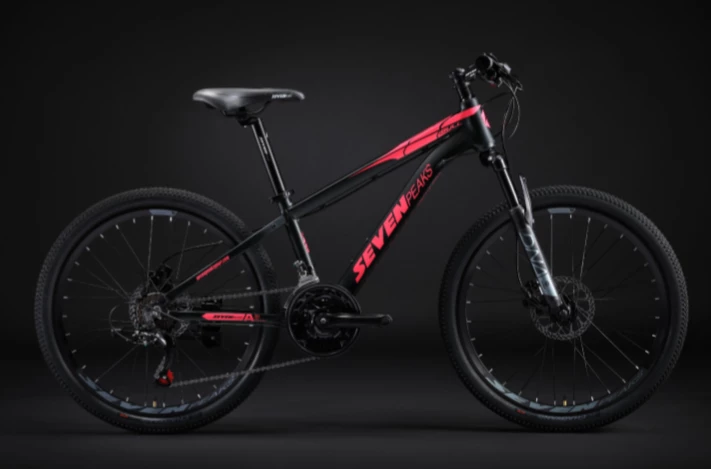 Fournel Bicycles Sevenpeaks Bull 5 Fournel Bicycles Sevenpeaks Bull – Image 3