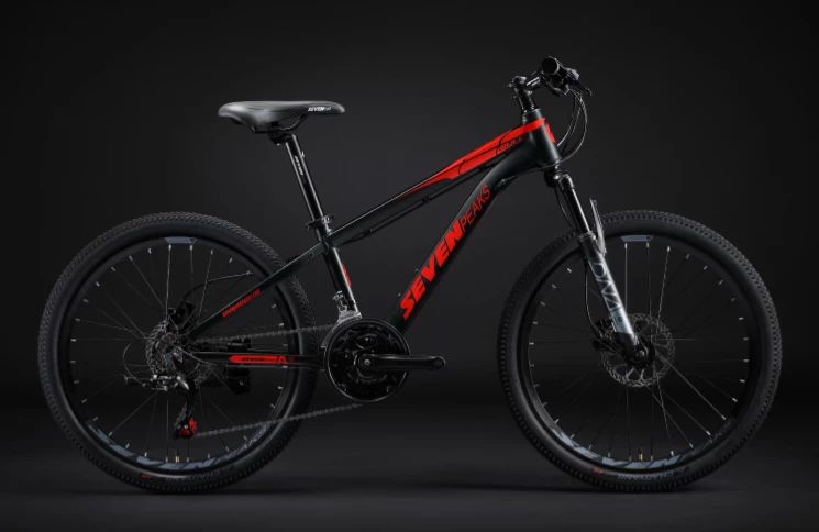 Fournel Bicycles Sevenpeaks Bull 6 Fournel Bicycles Sevenpeaks Bull – Image 4