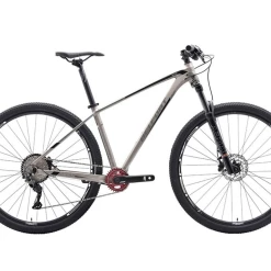 Fournel Bicycles Belfort Alom Arial