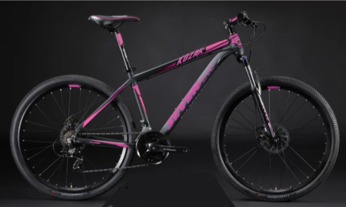 Fournel Bicycles Sevenpeaks Kozak 5 Fournel Bicycles Sevenpeaks Kozak – Image 3