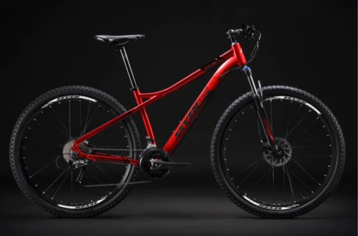 Fournel Bicycles Sevenpeaks Outlaw 5 Fournel Bicycles Sevenpeaks Outlaw – Image 3