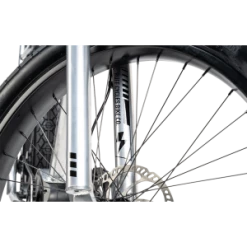 Ruff Cycles Biggie Performance CX -Transmission Boutique ruff cycles biggie 2