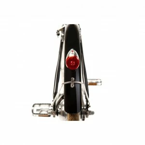 Watt Boston Female 7 Watt Boston Female – Image 5