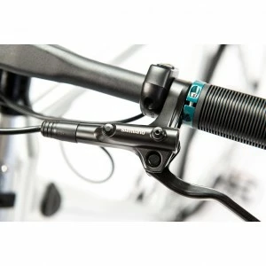 Watt Brooklyn 7 Watt Brooklyn – Image 5